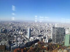 -东京都厅舍