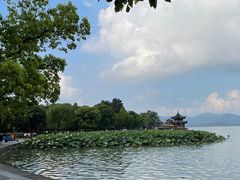 -南方迷宗大包(湖滨店)