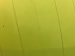 -微热山丘(桃园机场店)