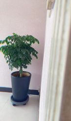 -悦润荟美容抗衰中心