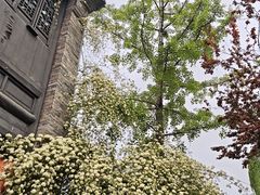 -回龙窝历史文化街区