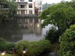 android_upload_pic-杭州世外桃源君澜度假酒店
