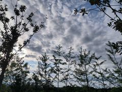 -仙海旅游度假区