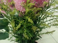 android_upload_pic-自助火锅筷乐食代自助餐厅(金辰店)