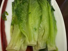 -广东大排档(国奥店)