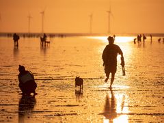 -南汇嘴观海公园