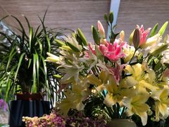 -春暖花开(西溪店)