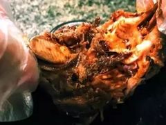 -鸿运兔·手撕烤兔(天府广场店)