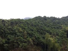 -宁波五龙潭景区