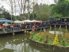 -三圣花乡旅游区