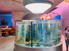 -海底捞大排档火锅(打浦路店)