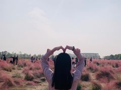 -映月湖中央公园