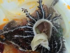 鲜千层肚-大龙火锅(老店)