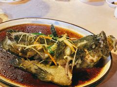 清蒸石斑鱼-琼大师东方烤乳猪(亚特兰蒂斯店)