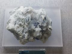 -贵州省地质博物馆