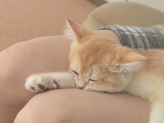 -宠颐生中康贝怡动物医院