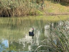 -江南大学(蠡湖校区)