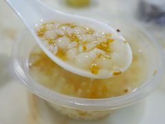 -潘玉麟糖粥