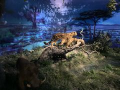 -国家自然博物馆