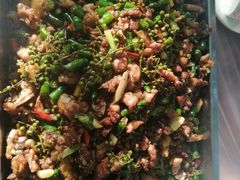 -铁山坪森林公园