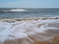 -日照海滨国家森林公园