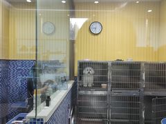-瑞鹏宠物医院·内科·中兽医·骨科(苗圃店)