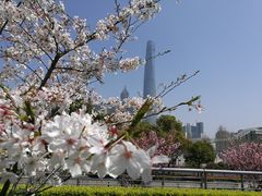 -上海外滩英迪格酒店