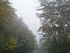 -牛背梁国家森林公园