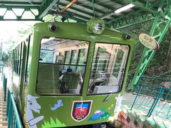 -神户市立六甲山牧场