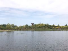 -东郊湿地公园