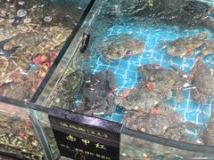 -渔码头食府(蓬莱阁店)