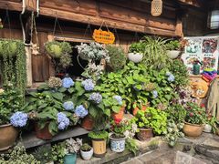 -龙姐私房菜(和顺古镇店)