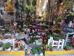 -循礼门鲜花花市(武汉循礼门店)