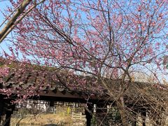 -尚贤河湿地
