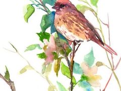 -BRAVO 赞·美艺术中心·系统美术·书法·艺考(双井校区)