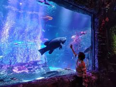 -沈阳海洋探索中心