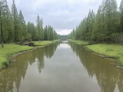 -黄海国家森林公园