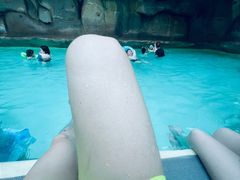 -杭州开元森泊度假乐园