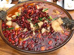 泼辣黑鱼-柞水土菜馆(营盘镇朱家湾店)