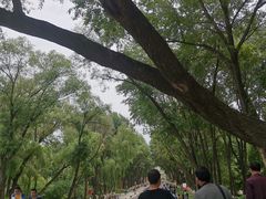 -西宁市人民公园(城西区)