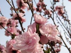 -北运河水利风景区