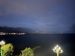 -野菌皇海景野生菌火锅(滨海大道店)