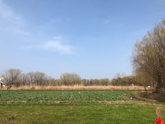 -长兴太湖图影湿地文化园