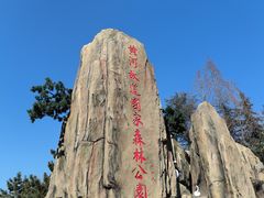 -黄河故道国家森林公园