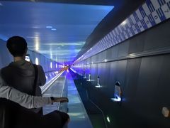 -白鹤梁水下博物馆