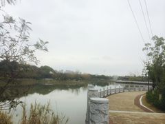 -八大山人梅湖景区