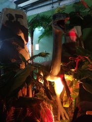 -恐龙探索乐园(磁器口店)