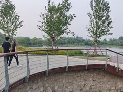 -东郊湿地公园
