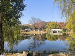 -月湖风景区