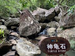 -呀诺达热带雨林